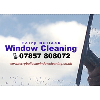 Terry Bullock Window Cleaning logo
