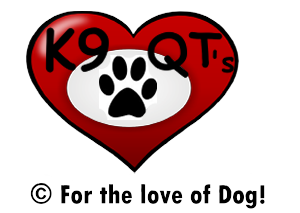 K9QTs logo