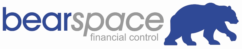 Bear Space LLP logo