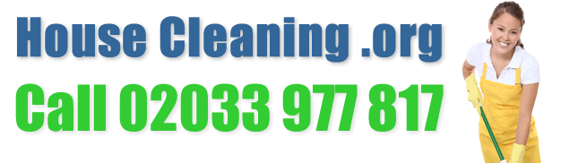 House Cleaning logo