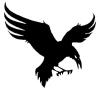 Black Raven Investigations logo
