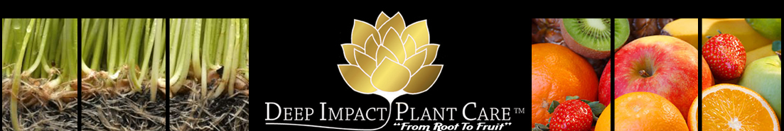Deep Impact Plant Care logo