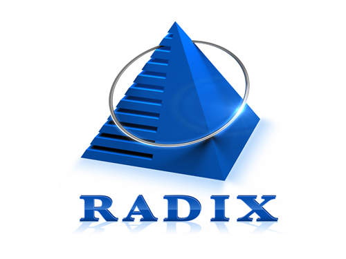 Rndinfo An offshore outsourcing IT Company logo