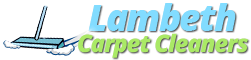Lambeth Cleaning Services logo