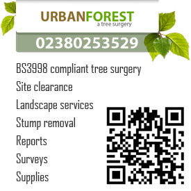 Urban Forest logo